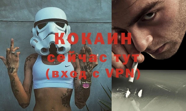 хмурый Алексин