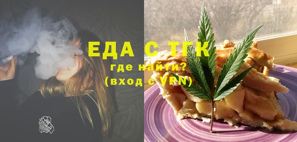 хмурый Алексин